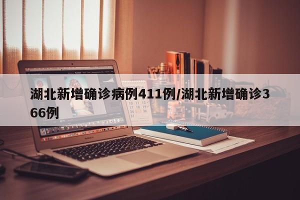 湖北新增确诊病例411例/湖北新增确诊366例